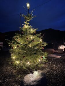 Read more about the article 🎄村のクリスマスを開催します2025/11/23,24🎄